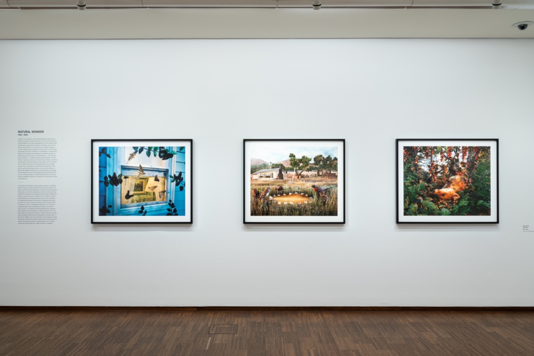 Retrospective – Vienne