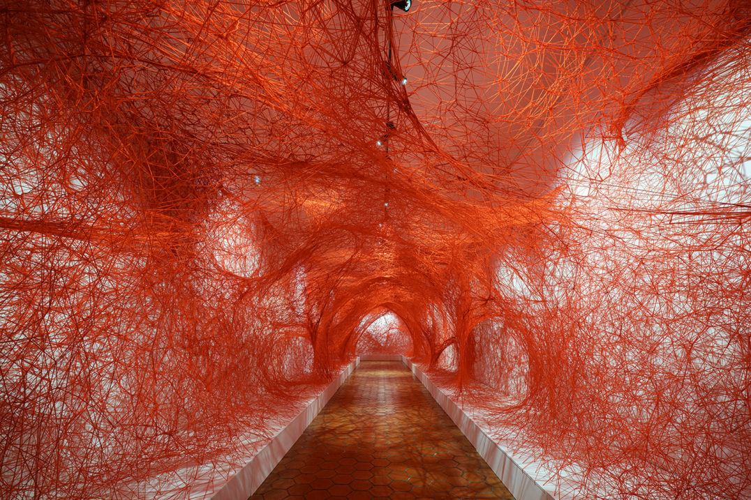 Beyond Consciousness – Biennale d&rsquo;Aix