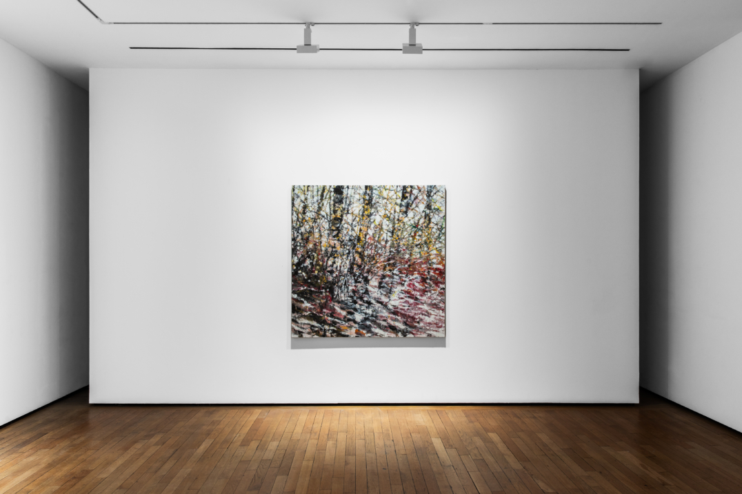 Paysages fragmentés