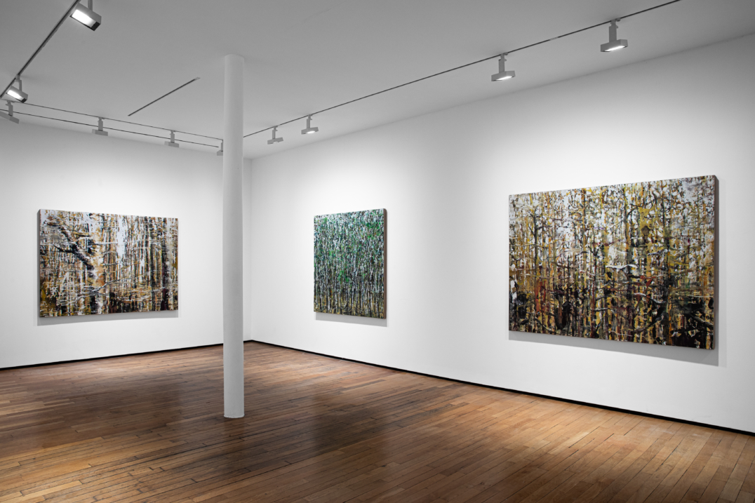 Fragmented Landscapes