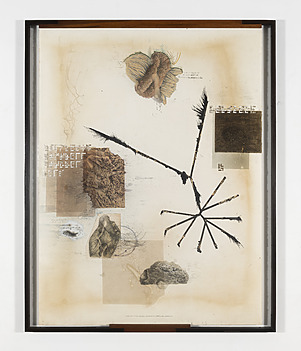 Jitish Kallat Hexalemma (Earthling Chant), 2024-2025Graphite, fusain, aquarelle, gesso, gomme organique sur papier Arches Graphite, charcoal, arquarelle, gesso, organic gum on Arches paper 158 × 127,5 cm — 62 × 50 in.