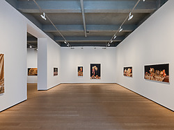 Exhibition view David Smalling - Elizabethan collar, TEMPLON New York, 2026