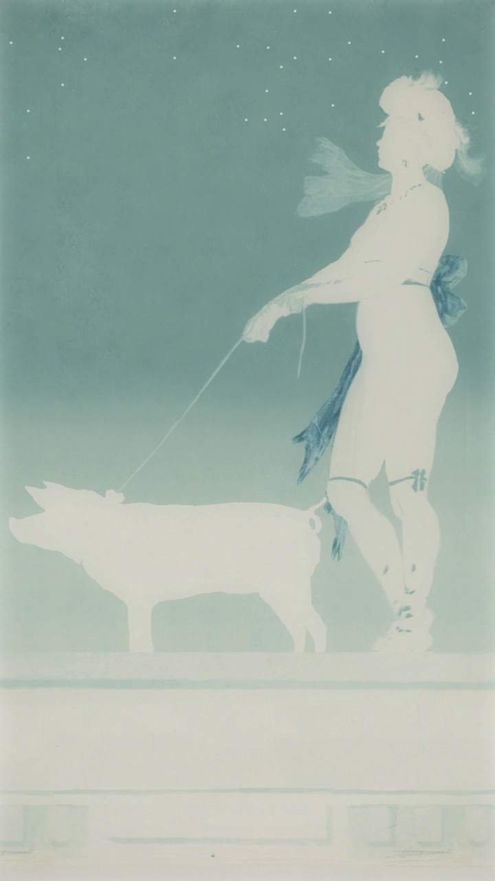 Extrait de la vidéo Pornocrate dans tous ses états d'Antoine Roegiers, reprenant, en négatif, Pornocratès, la Dame au cochon de Félicien Rops.