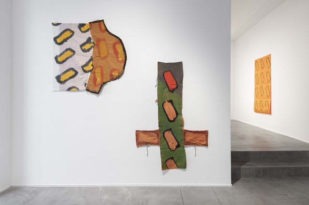 Claude Viallat, TEMPLON, Brussels, exhibition view.